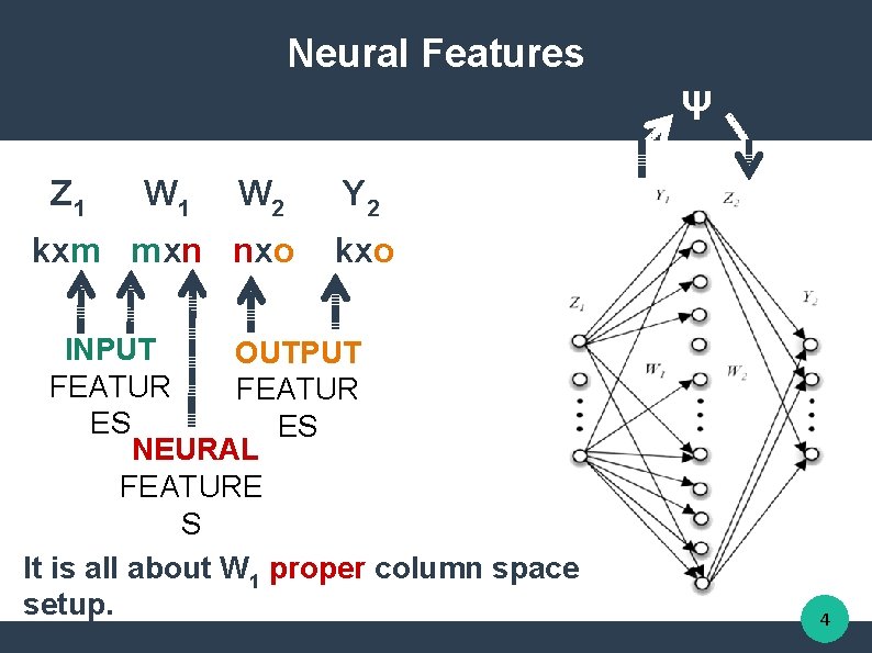 Neural Features Ψ Z 1 W 2 kxm mxn nxo Y 2 kxo INPUT