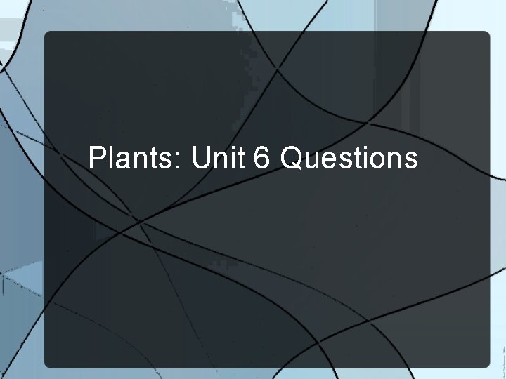 Plants: Unit 6 Questions 