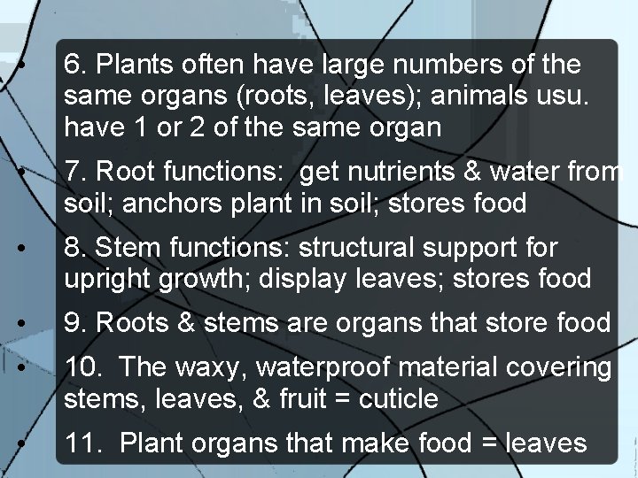  • 6. Plants often have large numbers of the same organs (roots, leaves);
