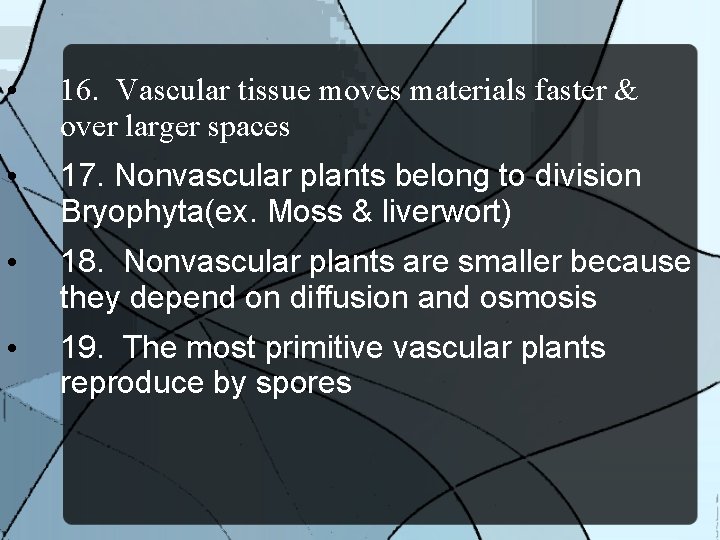  • 16. Vascular tissue moves materials faster & over larger spaces • 17.