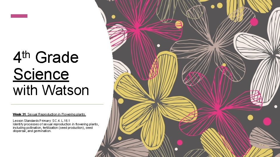 th 4 Grade Science with Watson Week 31: Sexual Reproduction in Flowering plants. Lesson