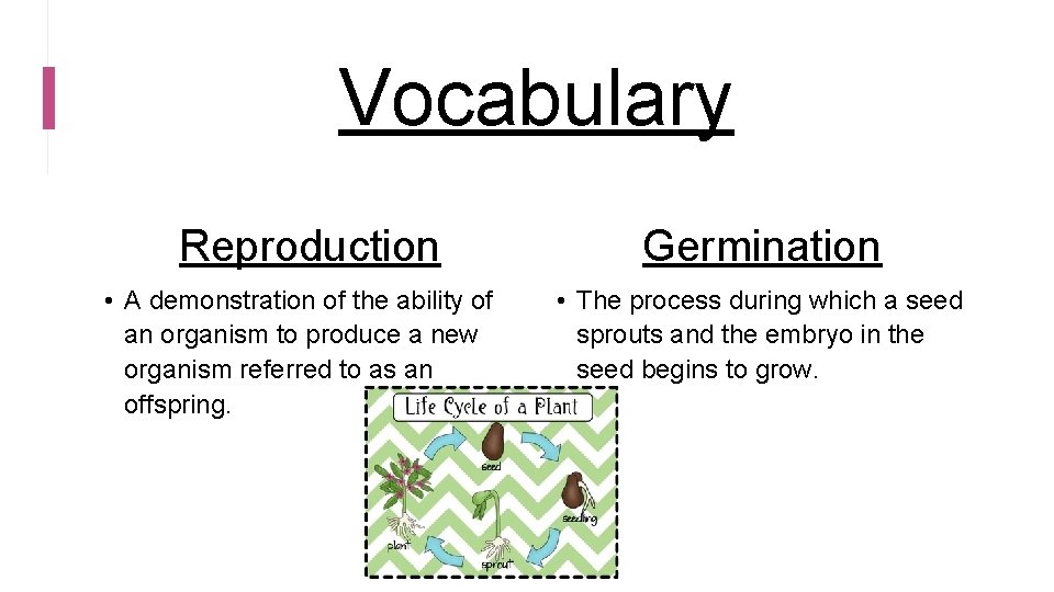 Vocabulary Reproduction • A demonstration of the ability of an organism to produce a