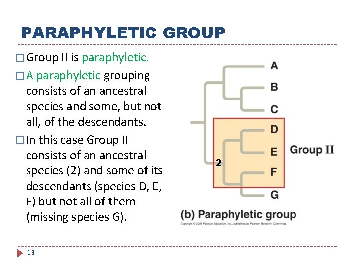 PARAPHYLETIC GROUP � Group II is paraphyletic. � A paraphyletic grouping consists of an