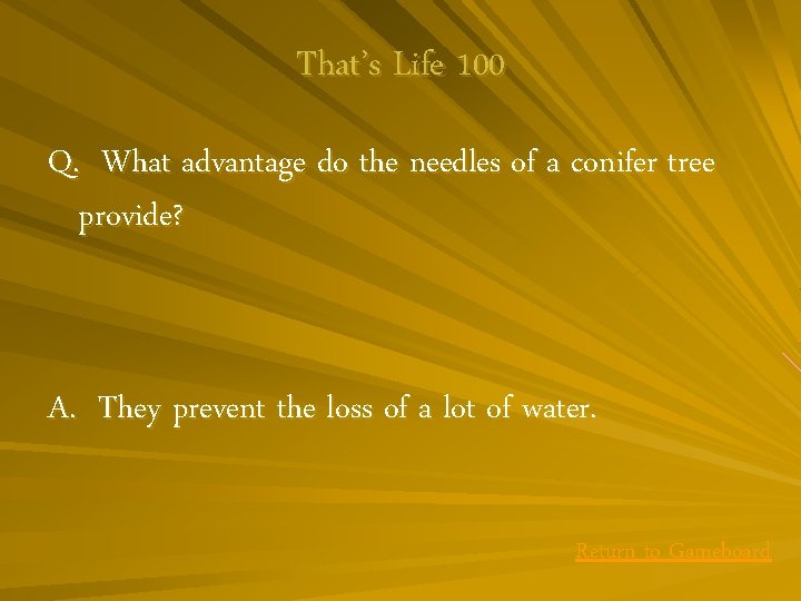 That’s Life 100 Q. What advantage do the needles of a conifer tree provide?