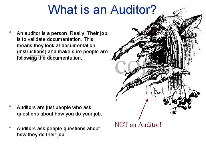 Quality Process Management Quality Auditing An individual concept , inspection & evaluate performance Focusing
