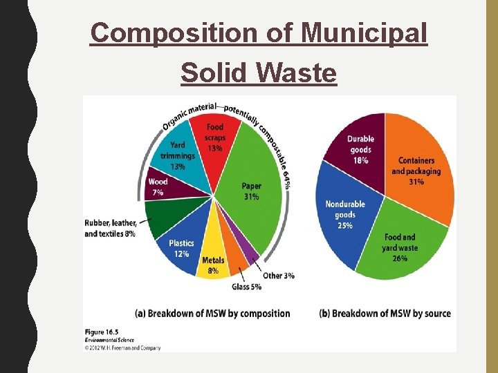 Composition of Municipal Solid Waste 