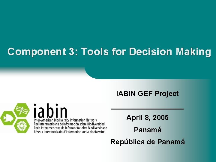 Component 3: Tools for Decision Making IABIN GEF Project _________ April 8, 2005 Panamá
