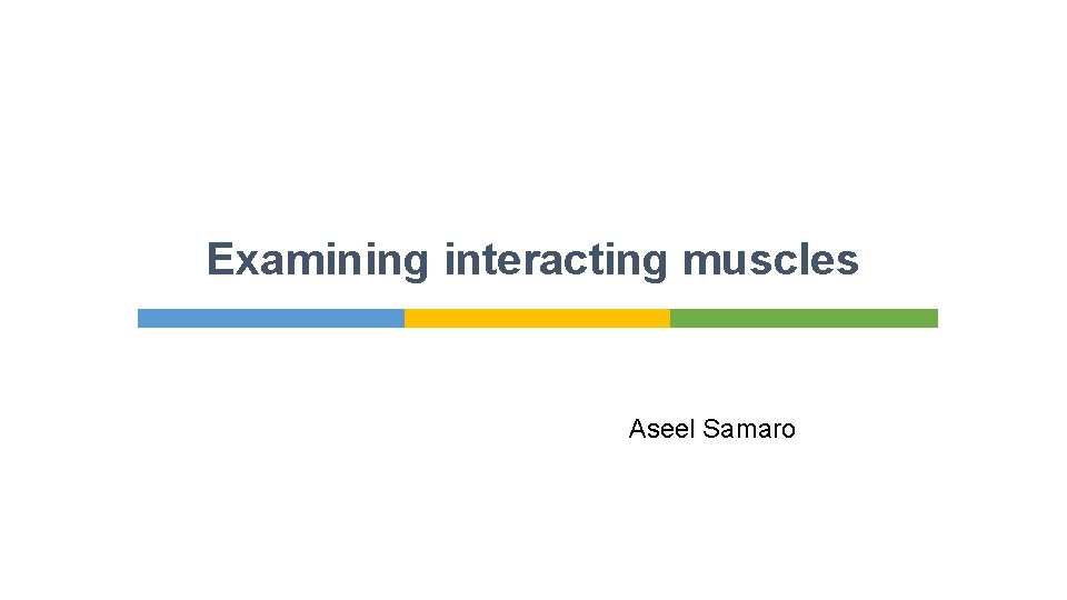 Examining interacting muscles Aseel Samaro 