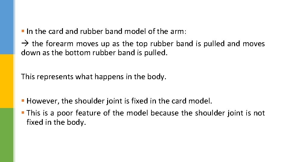 § In the card and rubber band model of the arm: the forearm moves