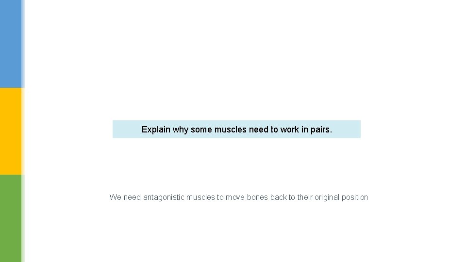 Explain why some muscles need to work in pairs. We need antagonistic muscles to