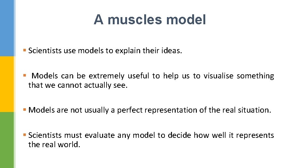 A muscles model § Scientists use models to explain their ideas. § Models can