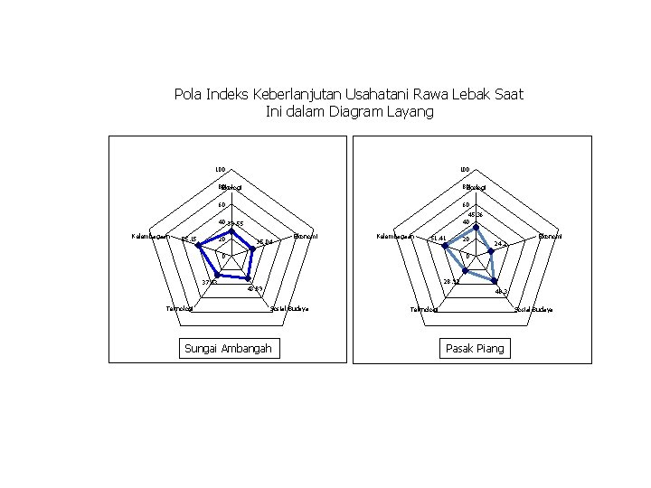 Pola Indeks Keberlanjutan Usahatani Rawa Lebak Saat Ini dalam Diagram Layang 100 Kelembagaan 55.