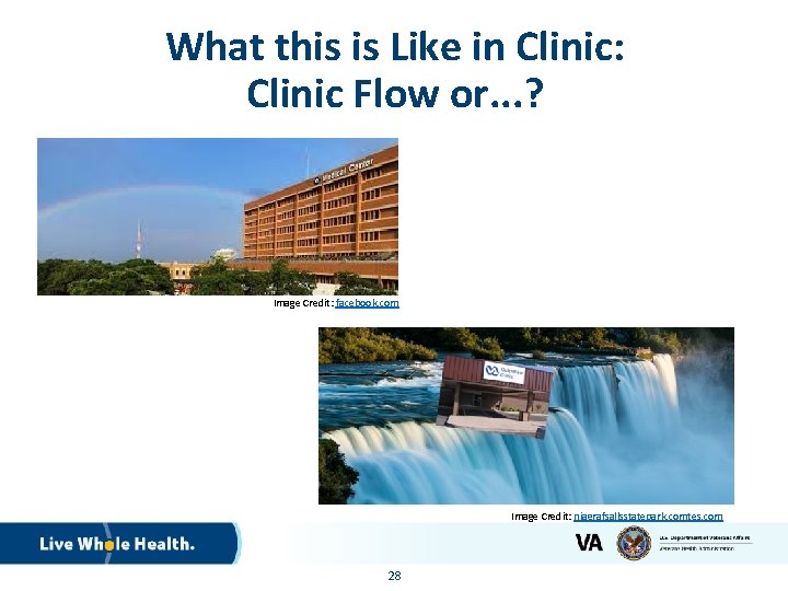 What this is Like in Clinic: Clinic Flow or. . . ? Image Credit: