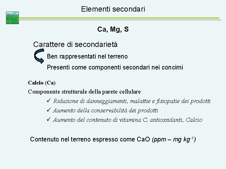 Elementi secondari Ca, Mg, S Carattere di secondarietà Ben rappresentati nel terreno Presenti come