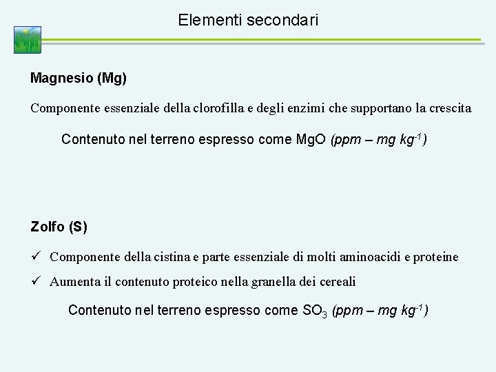 Elementi secondari Magnesio (Mg) Componente essenziale della clorofilla e degli enzimi che supportano la