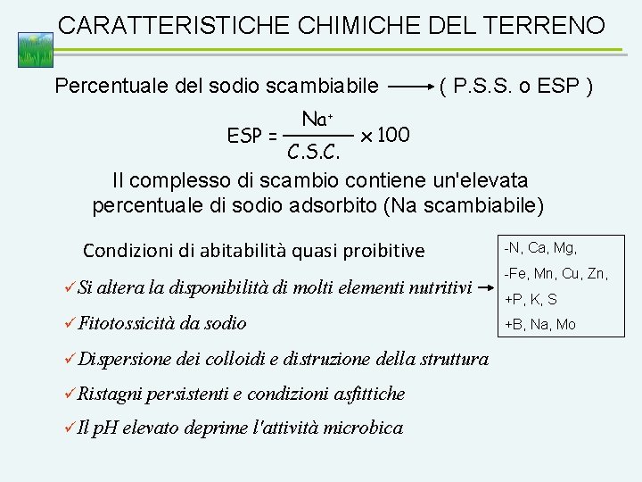 CARATTERISTICHE CHIMICHE DEL TERRENO Percentuale del sodio scambiabile ESP = Na+ C. S. C.