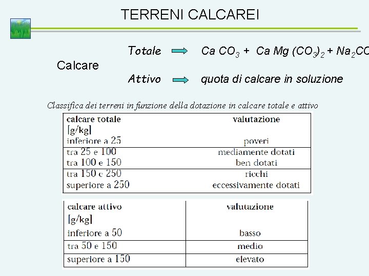 TERRENI CALCAREI Calcare Totale Ca CO 3 + Ca Mg (CO 3)2 + Na