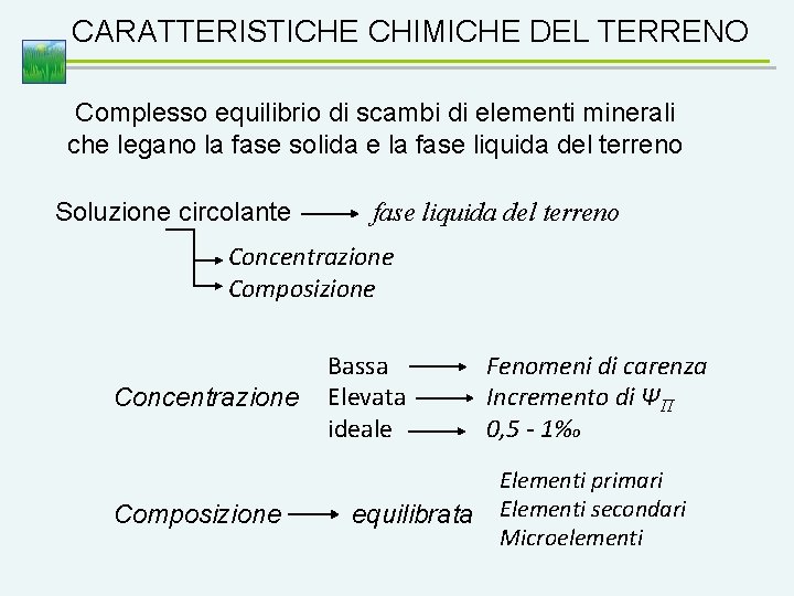 CARATTERISTICHE CHIMICHE DEL TERRENO Complesso equilibrio di scambi di elementi minerali che legano la