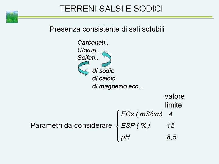 TERRENI SALSI E SODICI Presenza consistente di sali solubili Carbonati. . Cloruri. . Solfati.
