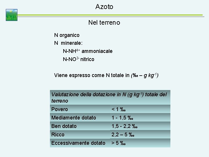 Azoto Nel terreno N organico N minerale: N-NH 4+ ammoniacale N-NO 3 - nitrico