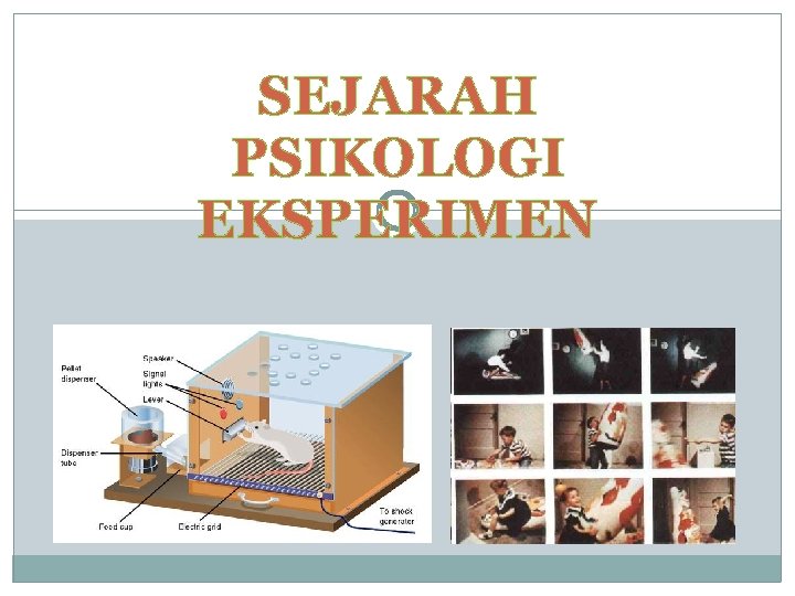 SEJARAH PSIKOLOGI EKSPERIMEN 