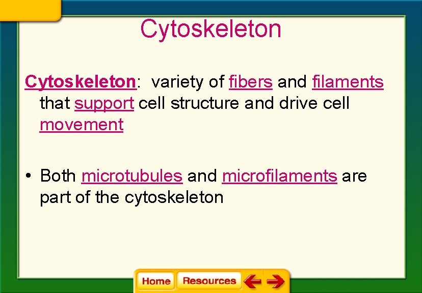 Cytoskeleton: variety of fibers and filaments that support cell structure and drive cell movement