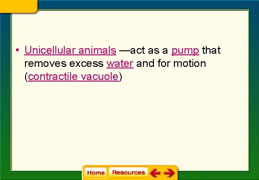  • Unicellular animals —act as a pump that removes excess water and for