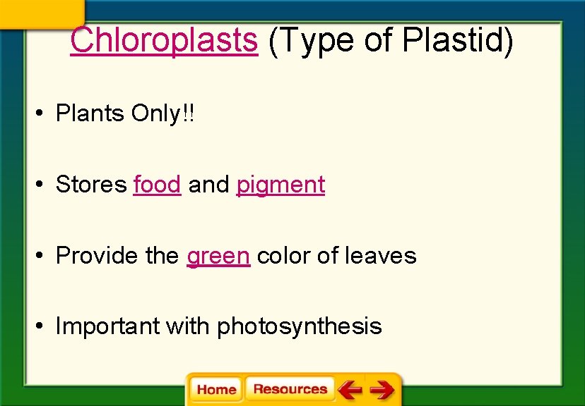 Chloroplasts (Type of Plastid) • Plants Only!! • Stores food and pigment • Provide