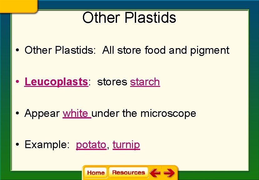 Other Plastids • Other Plastids: All store food and pigment • Leucoplasts: stores starch