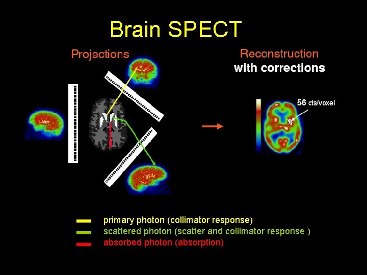 Brain SPECT primary photon (collimator response) scattered photon (scatter and collimator response ) absorbed
