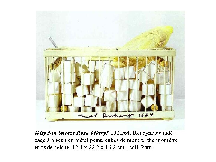 Why Not Sneeze Rose Sélavy? 1921/64. Readymade aidé : cage à oiseau en métal Why Not Sneeze Rose Sélavy? 1921/64. Readymade aidé : cage à oiseau en métal