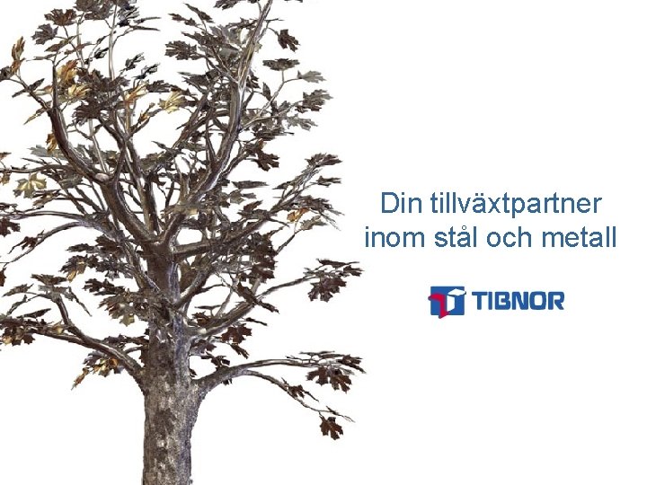 Din tillväxtpartner inom stål och metall 