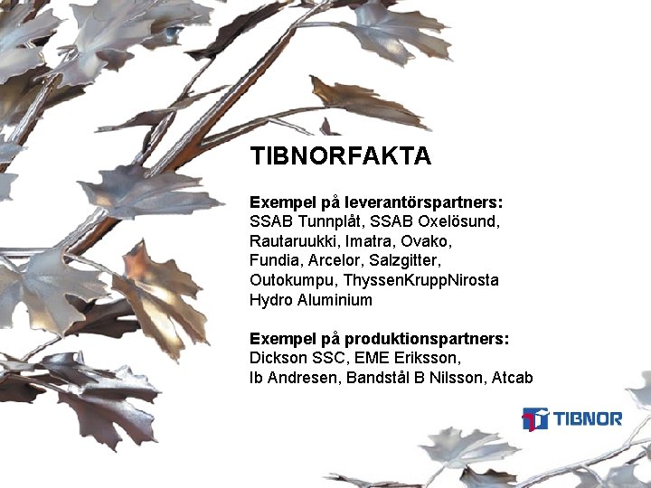 TIBNORFAKTA Exempel på leverantörspartners: SSAB Tunnplåt, SSAB Oxelösund, Rautaruukki, Imatra, Ovako, Fundia, Arcelor, Salzgitter,