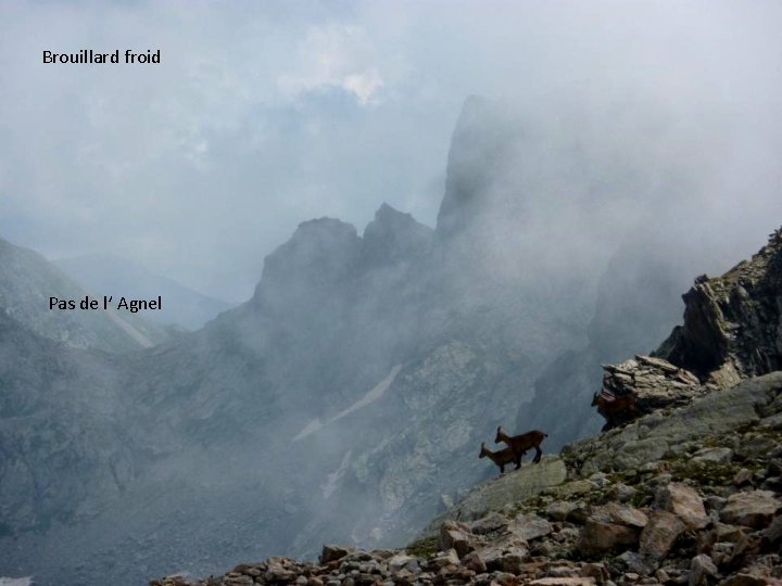 Brouillard froid Pas de charnassière vers lac vert de valmasque Pas de l’ Agnel