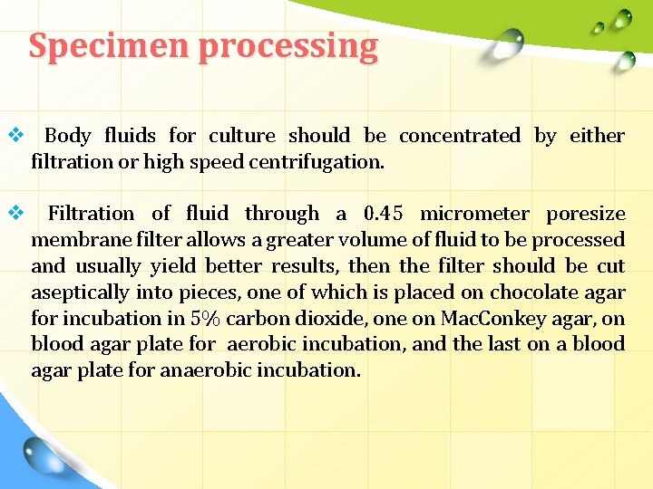 Specimen processing v Body fluids for culture should be concentrated by either filtration or