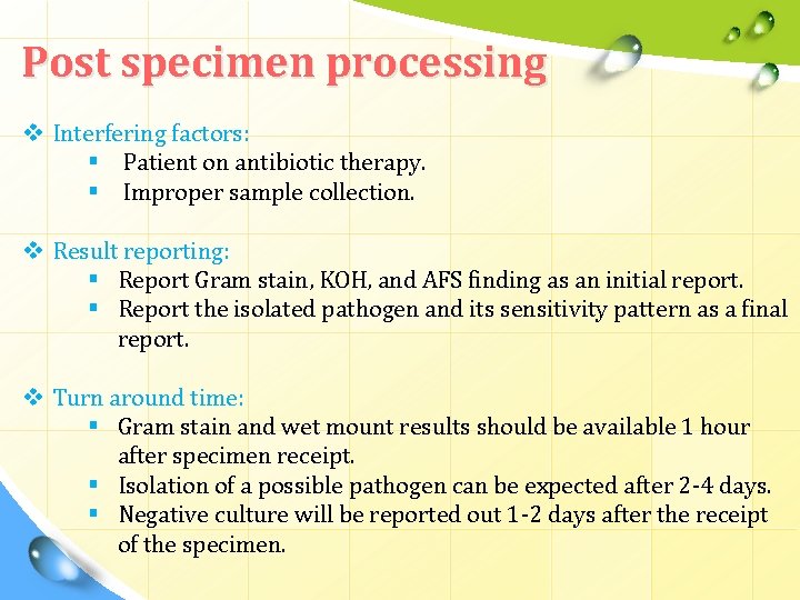 Post specimen processing v Interfering factors: § Patient on antibiotic therapy. § Improper sample