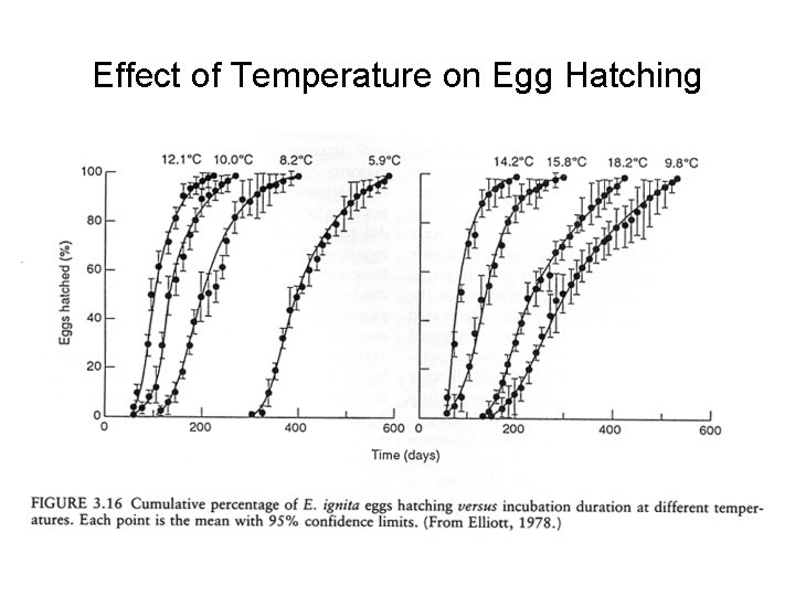 Effect of Temperature on Egg Hatching 
