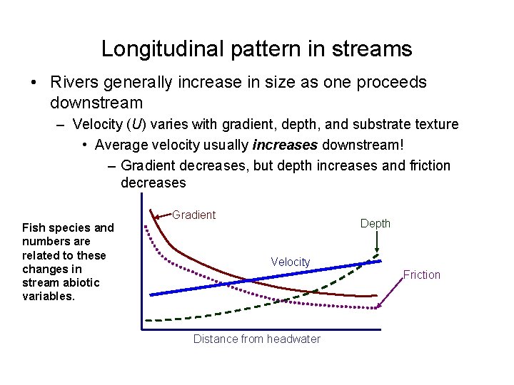 Longitudinal pattern in streams • Rivers generally increase in size as one proceeds downstream