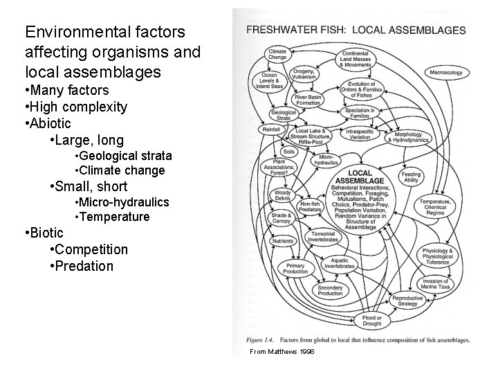 Environmental factors affecting organisms and local assemblages • Many factors • High complexity •