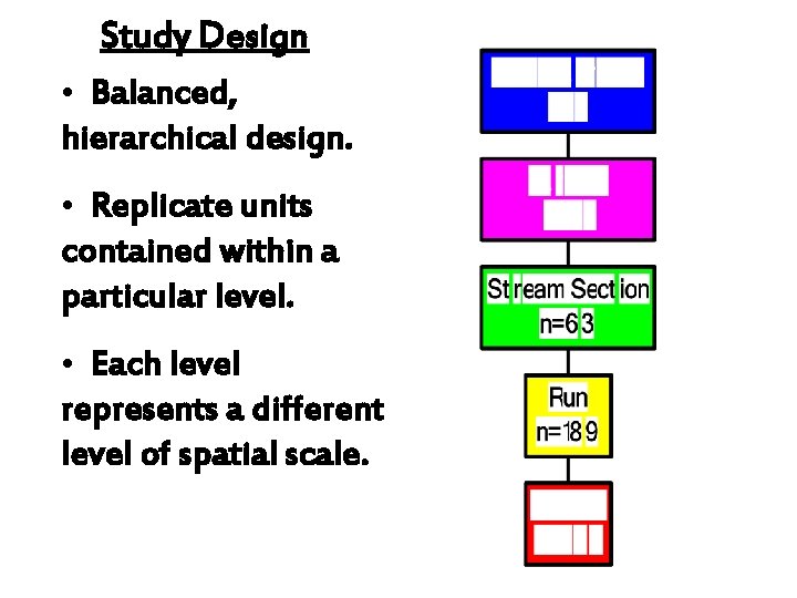 Study Design • Balanced, hierarchical design. • Replicate units contained within a particular level.