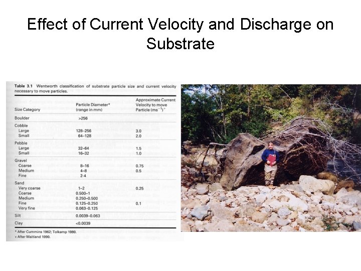 Effect of Current Velocity and Discharge on Substrate 