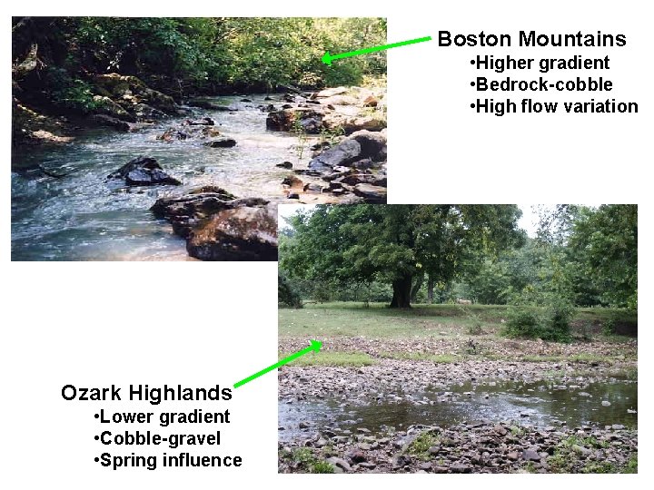 Boston Mountains • Higher gradient • Bedrock-cobble • High flow variation Ozark Highlands •