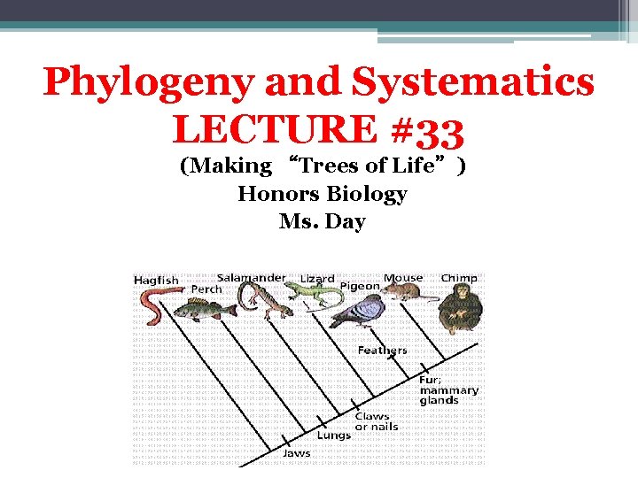 Phylogeny and Systematics LECTURE #33 (Making “Trees of Life”) Honors Biology Ms. Day 