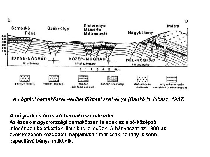 A nógrádi barnakõszén-terület földtani szelvénye (Bartkó in Juhász, 1987) A nógrádi és borsodi barnakõszén-terület