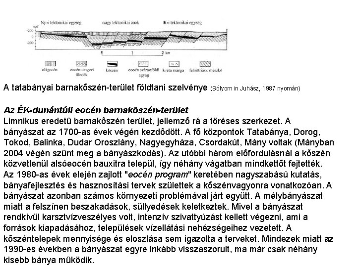 A tatabányai barnakõszén-terület földtani szelvénye (Sólyom in Juhász, 1987 nyomán) Az ÉK-dunántúli eocén barnakõszén-terület