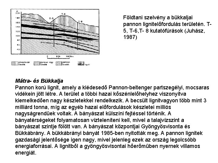 Földtani szelvény a bükkaljai pannon lignitelõfordulás területén. T 5, T-6, T- 8 kutatófúrások (Juhász,