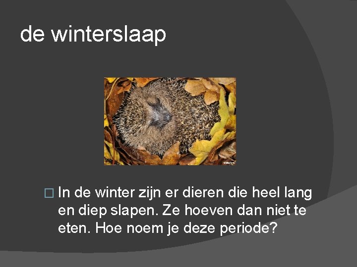 de winterslaap � In de winter zijn er dieren die heel lang en diep