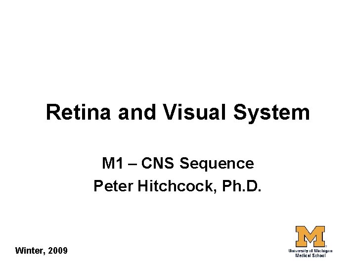 Retina and Visual System M 1 – CNS Sequence Peter Hitchcock, Ph. D. Winter,