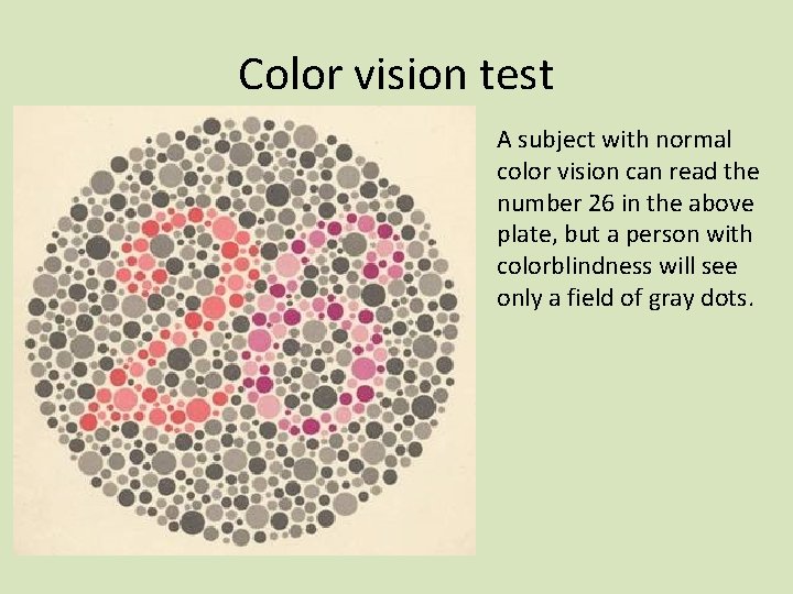 Color vision test A subject with normal color vision can read the number 26