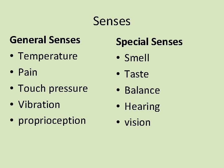 Senses General Senses • Temperature • Pain • Touch pressure • Vibration • proprioception